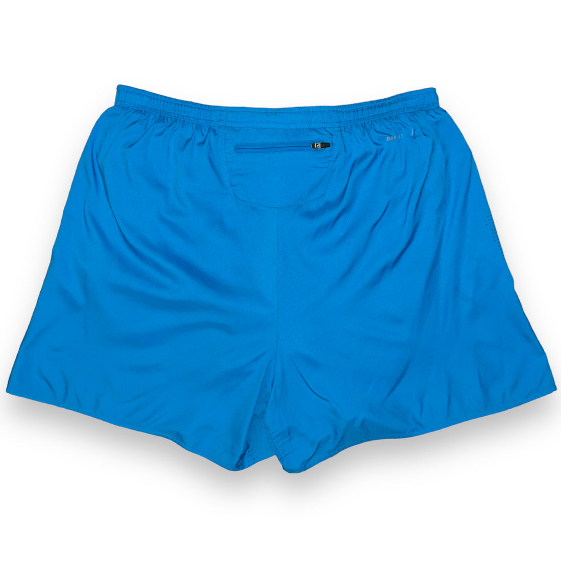 Nike Dry Fit Sports Shorts (L/XL)