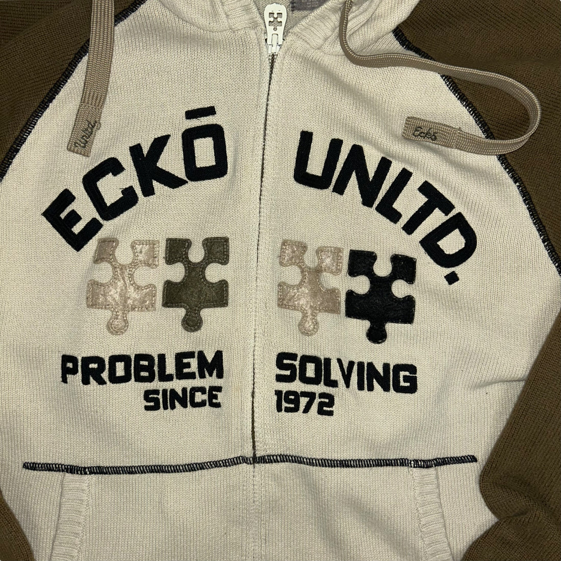 Felpa Ecko Problem Solving (L)