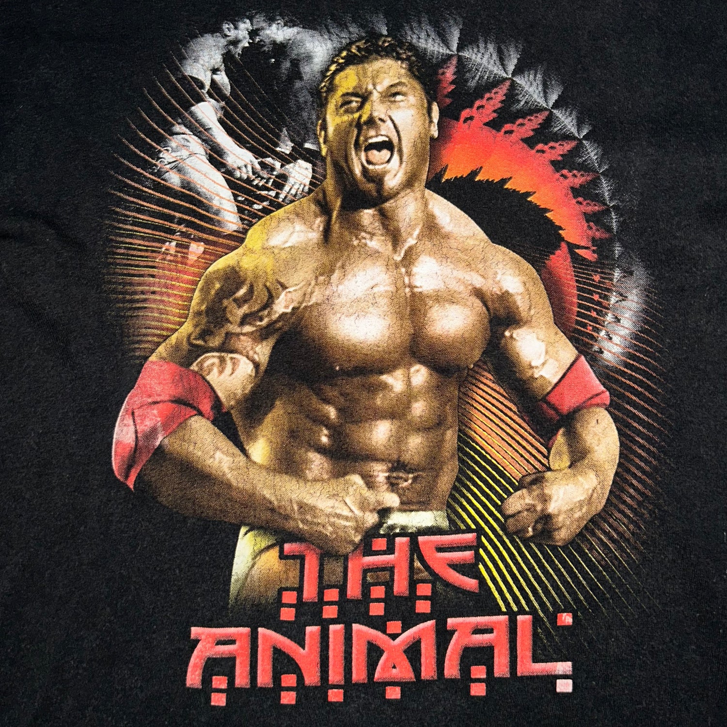 T-shirt The Animal Vintage  (S)